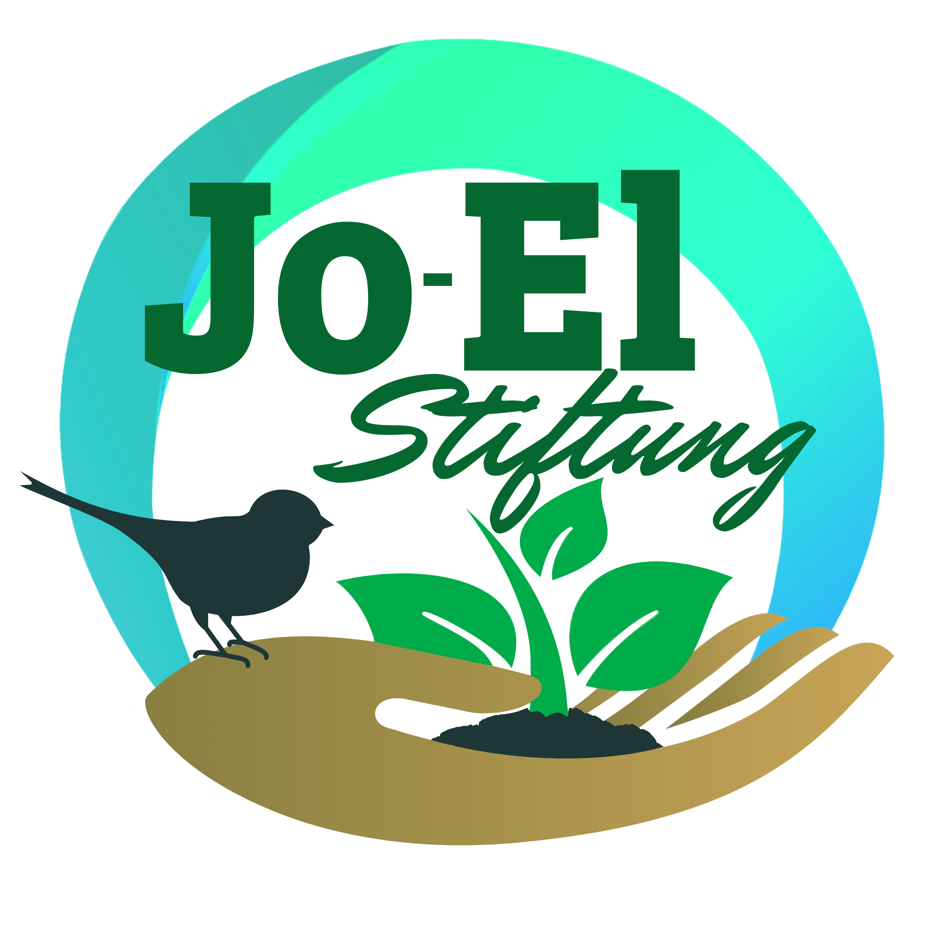 Jo-El Stiftung